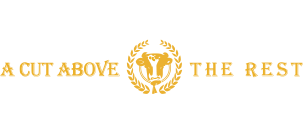 Benjamin Logo Back to Home